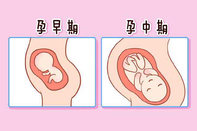 在上海永远幸试管移植结束后该怎么保胎比较好？