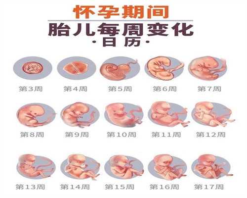 上海有代怀女人吗_男性精子质量低做试管婴儿怎么提高成功率