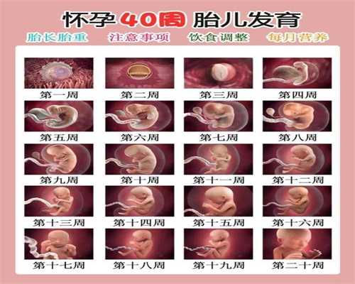 上海代怀生子助孕_孕早期1~3个月食谱 只长胎不长肉开胃营养家常菜肴