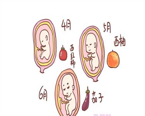 上海代怀生子助孕_孕早期1~3个月食谱 只长胎不长肉开胃营养家常菜肴